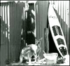 ::SURFARIS::